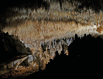 Grottes de Cougnac